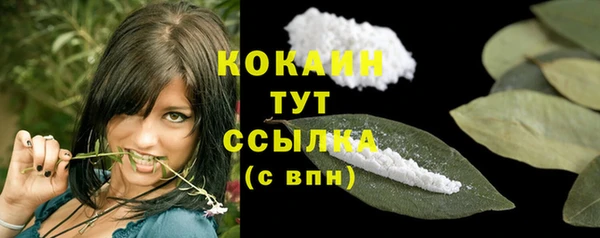 твердый Заводоуковск