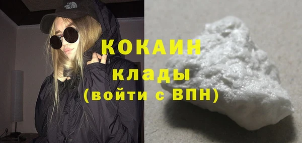 твердый Заводоуковск
