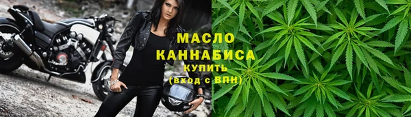 твердый Заводоуковск