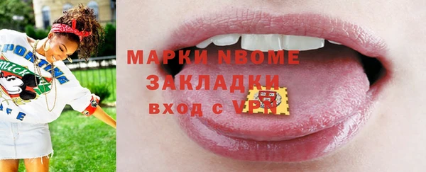 твердый Заводоуковск