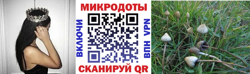 Купить где  Ершов  Псилоцибиновые грибы MAGIC MUSHROOMS 
