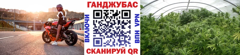Каннабис VHQ  Купить где  Ершов 